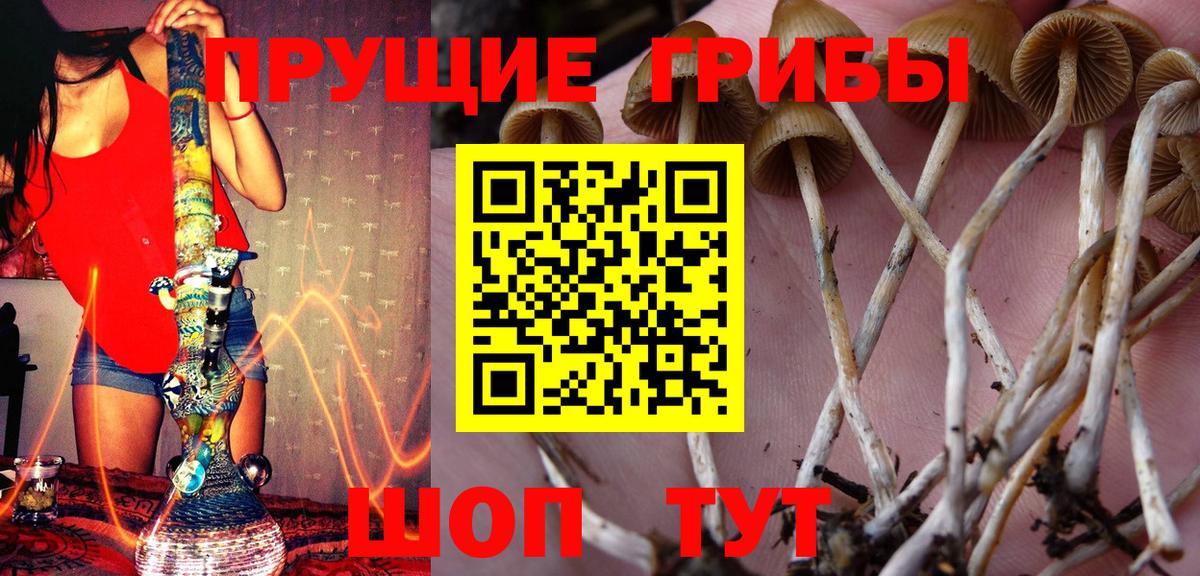 Канаш  Псилоцибиновые грибы мицелий  Вход с VPN 